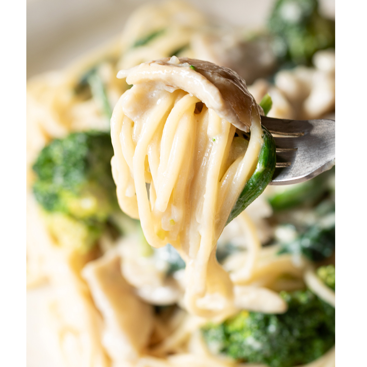 Vegan maitake mushroom creamy pasta