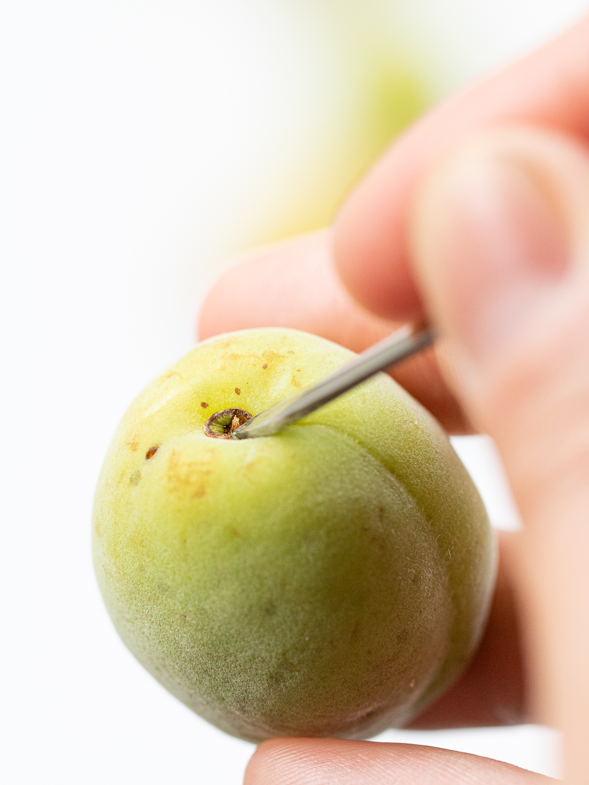 press the skewer into the edge of the plum stem