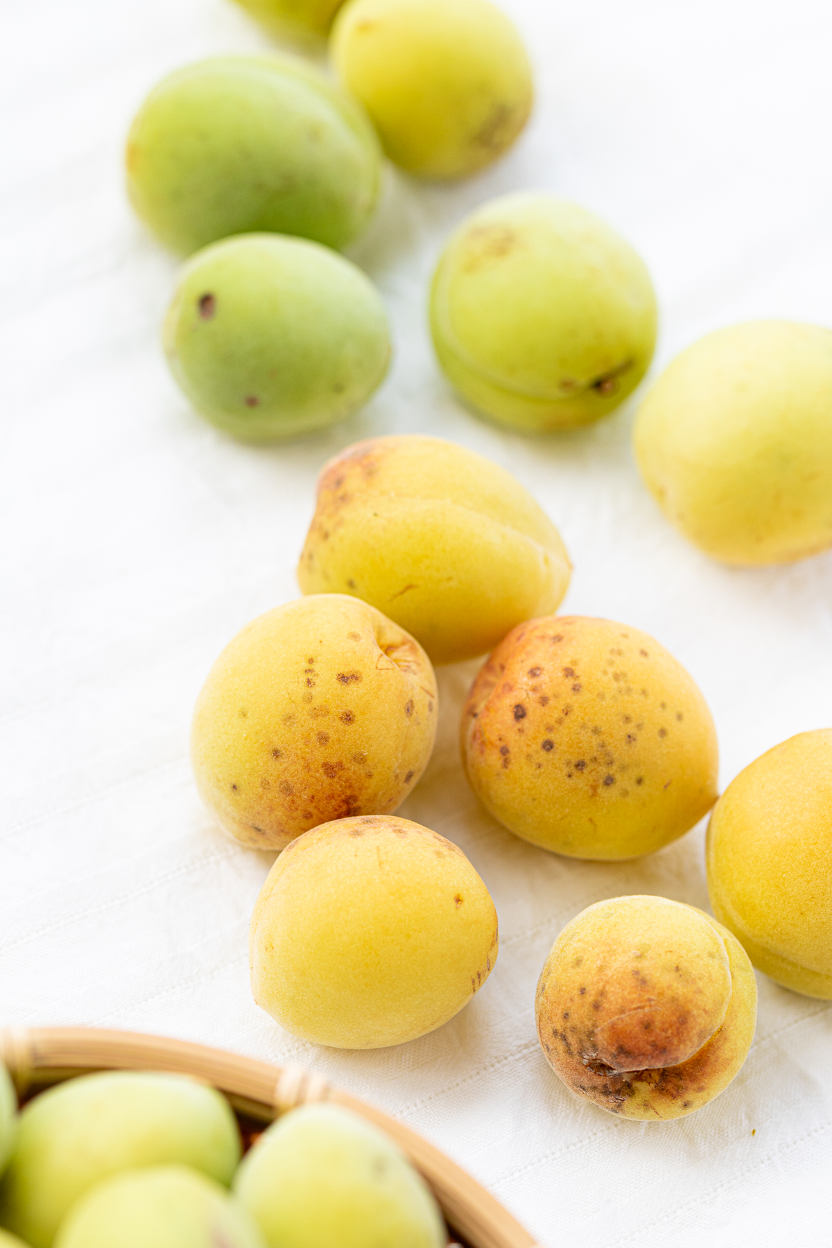 Green unripe ume plums and ripe yellow ume plums side by side