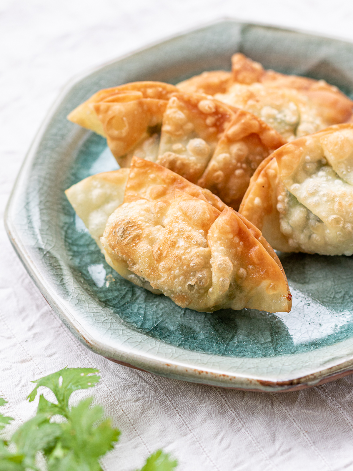 vegan crispy fried tofu cilantro fried dumplings (gyoza)