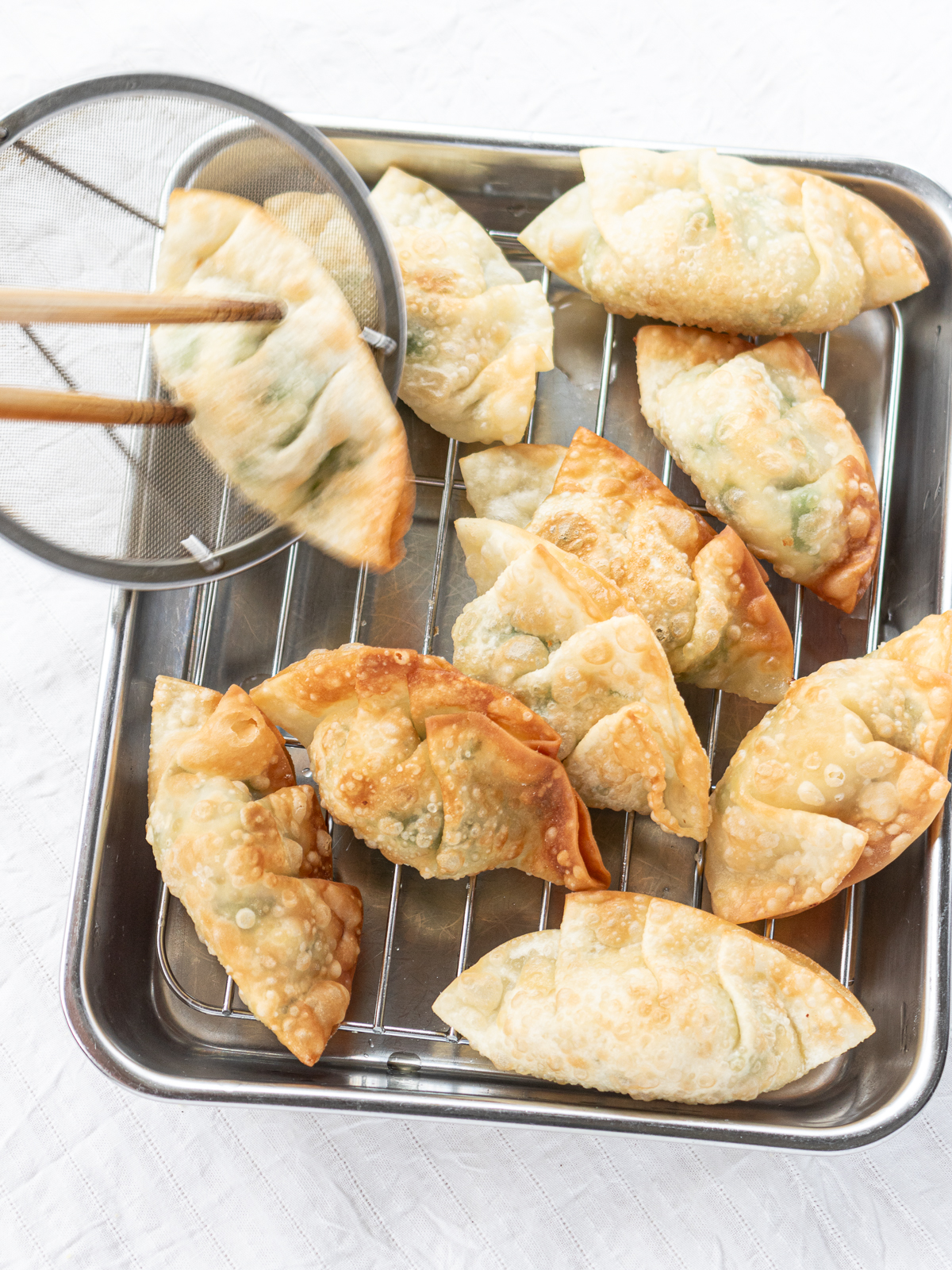 Delicious crunchy vegan fried tofu gyoza/dumplings with cilantro