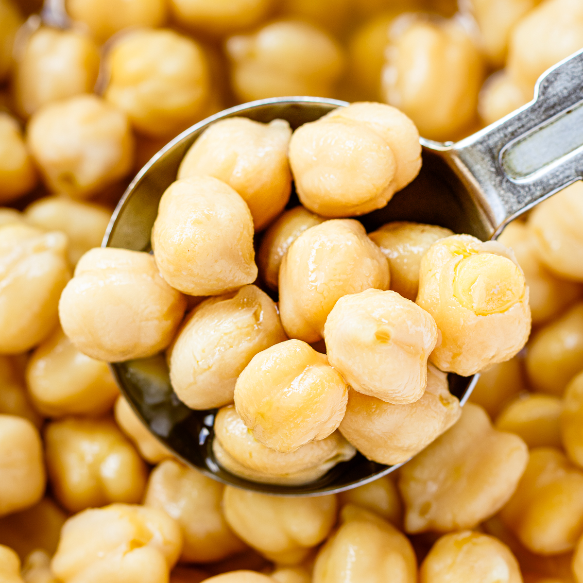 how to cook chickpeas in pressure cooker — soft garbanzo beans with cooking liquid