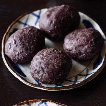 Homemade ohagi with lightly sweetened tsubu-an — a traditional Japanese sweet rice ball recipe