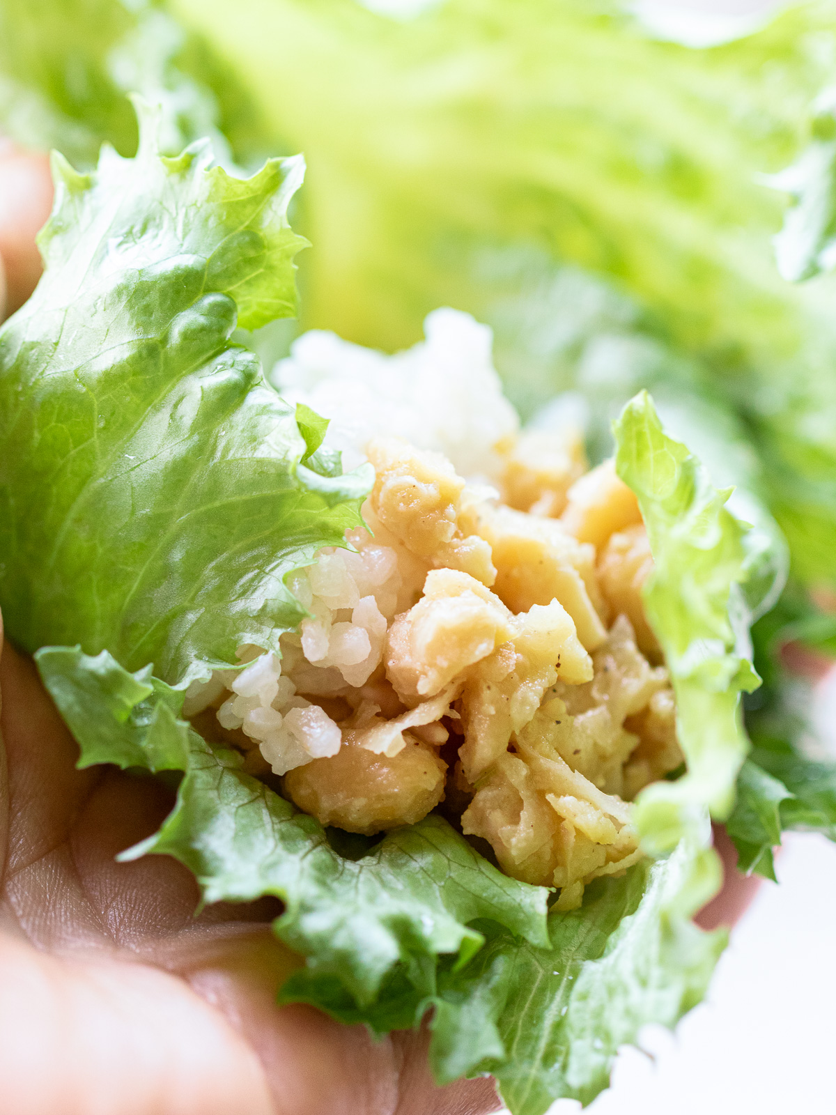 レタスに包んだひよこ豆の肉なし肉味噌