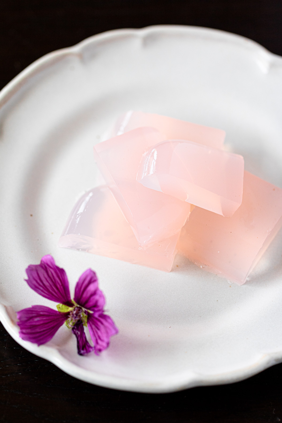 Blue-to-Purple Kanten Jelly: A Playful, Colorful Vegan Treat