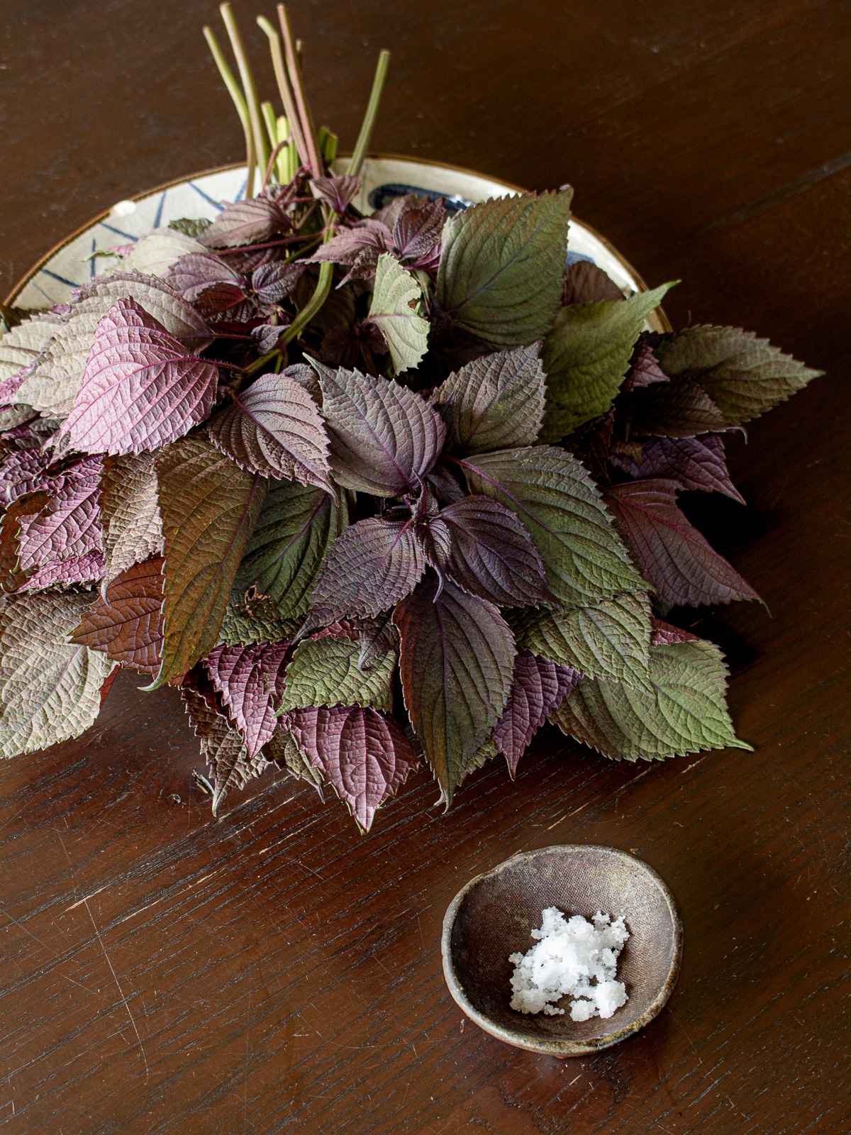 Ingredients for yukari furikake: fresh red shiso bundles and coarse sea salt for a natural vegan seasoning.