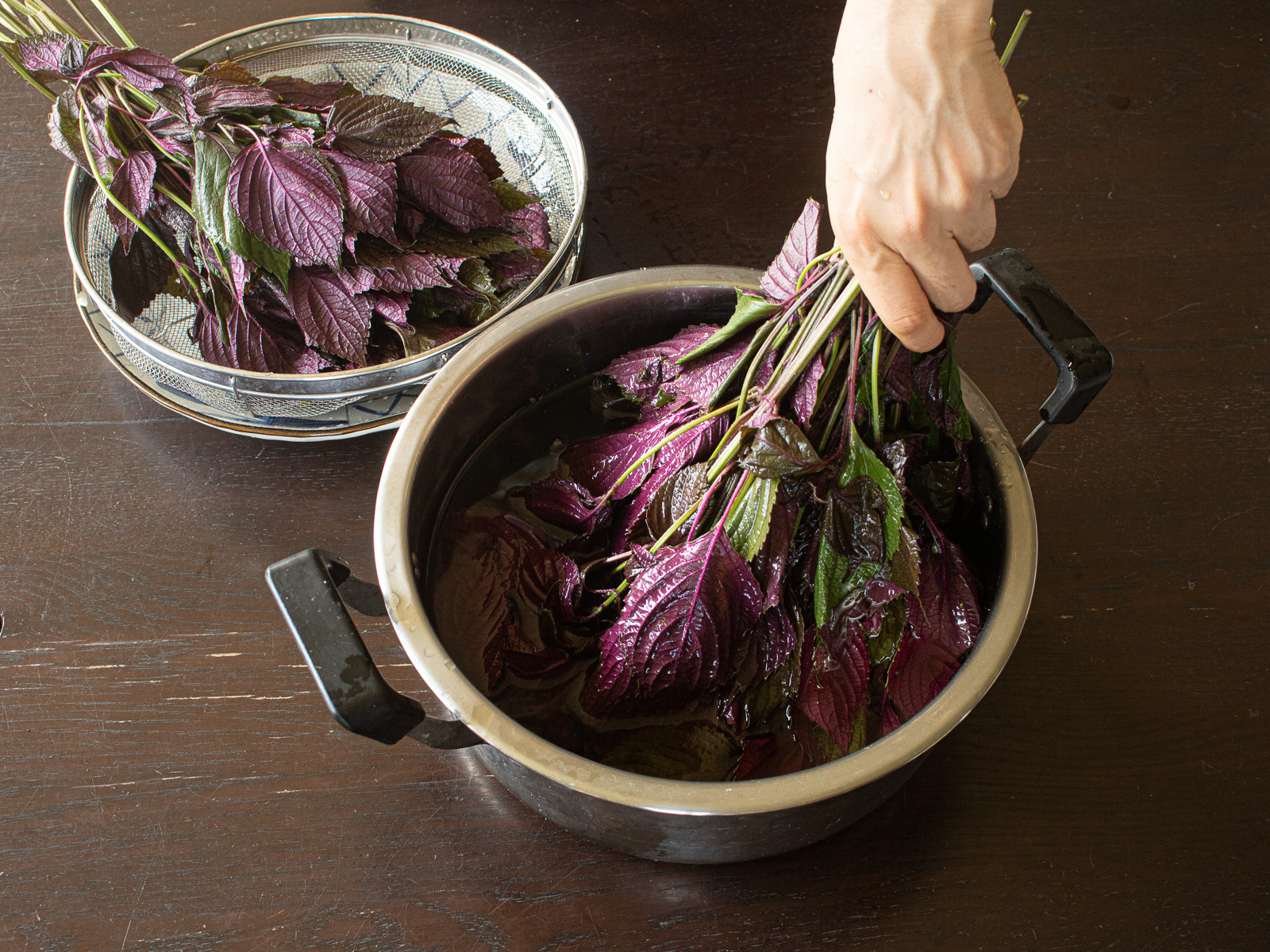 Washing red shiso, stems and all, in plenty of water, then draining thoroughly for clean, fresh leaves.