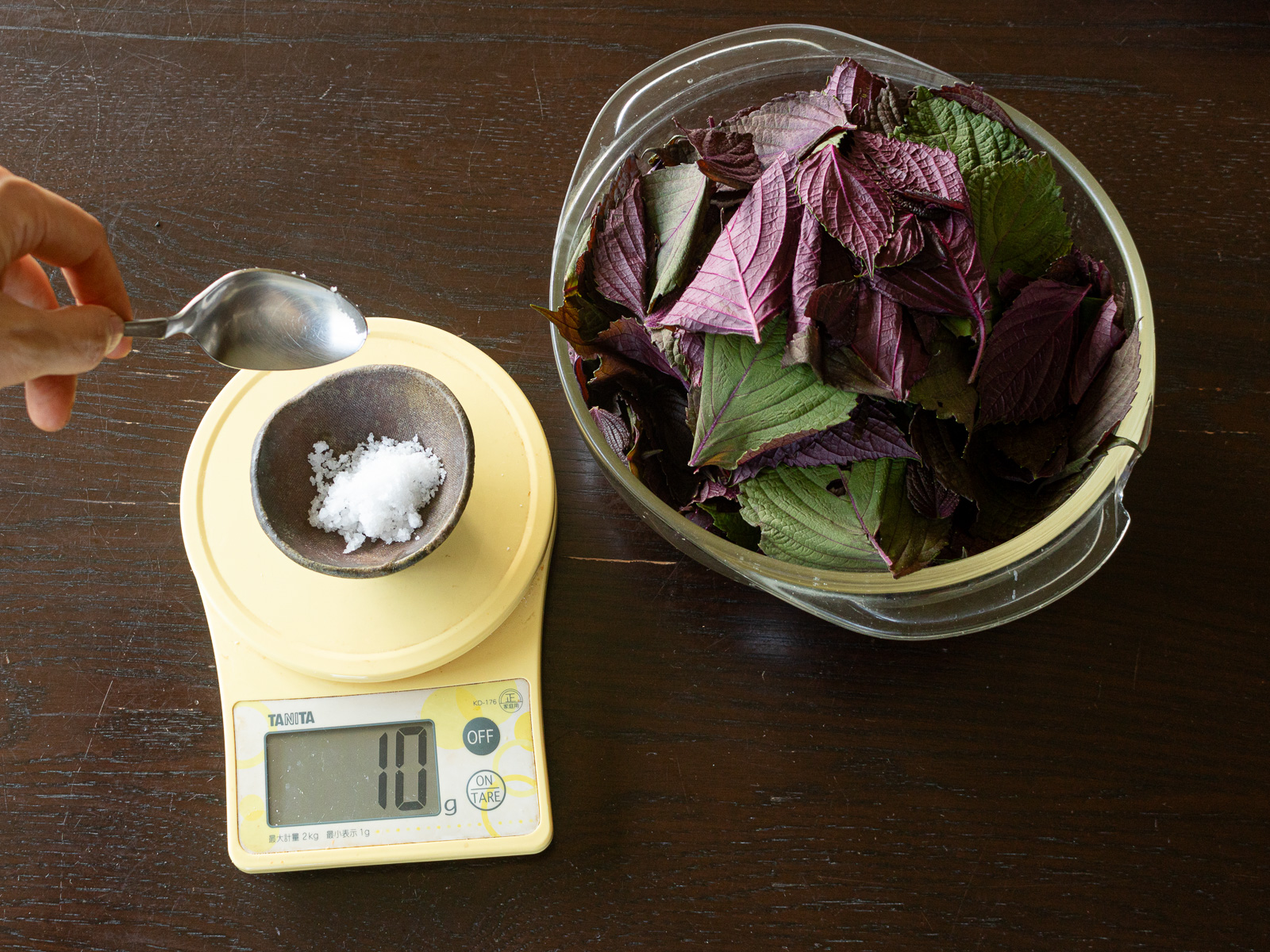 Weighing dried red shiso leaves and preparing 10% of that weight in sea salt.