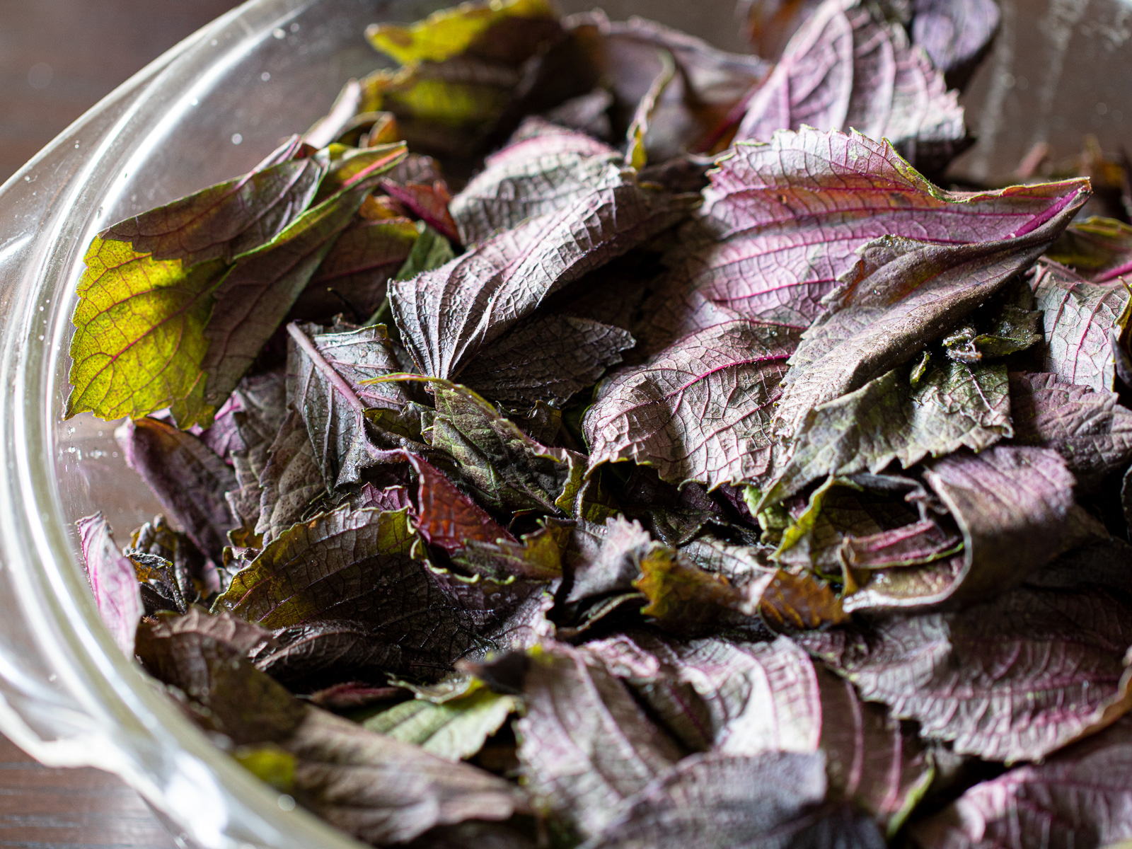 Sprinkling red shiso leaves in a bowl with salt, mixing lightly, and letting them sit for 30 minutes until softened.