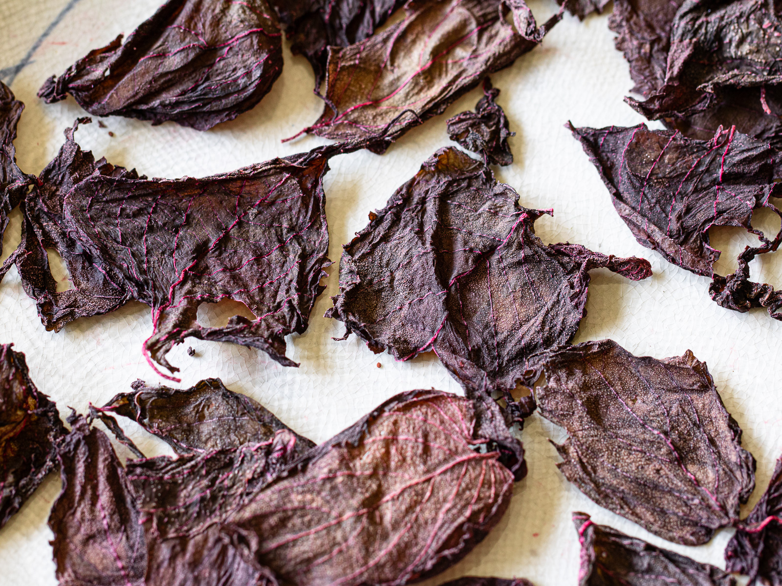 Crispy dried red shiso leaves, perfectly dehydrated and ready to use.
