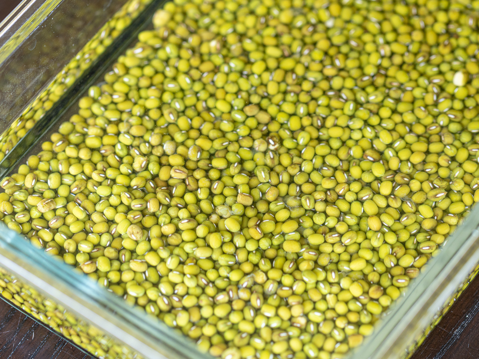 緑豆の茹で方｜浸水前の乾燥緑豆の状態
