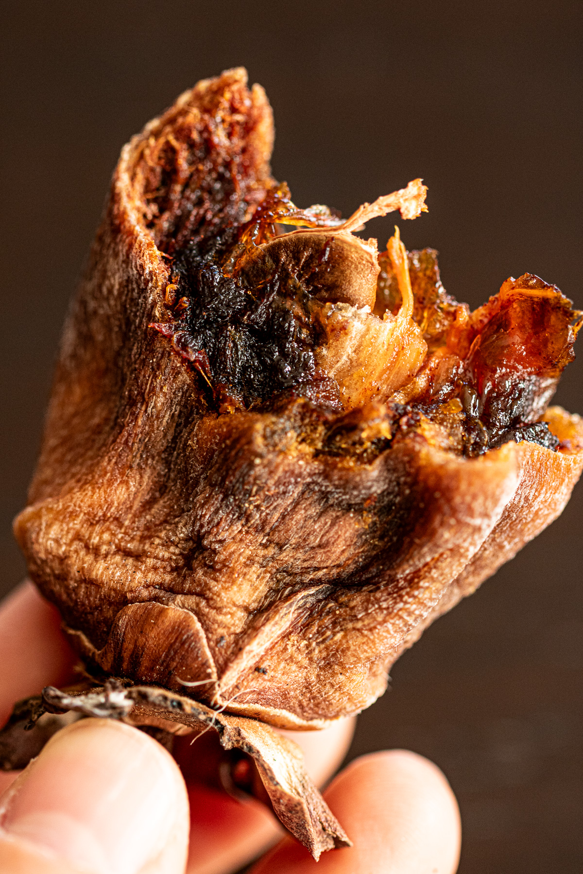 ムチっとした干し柿の断面