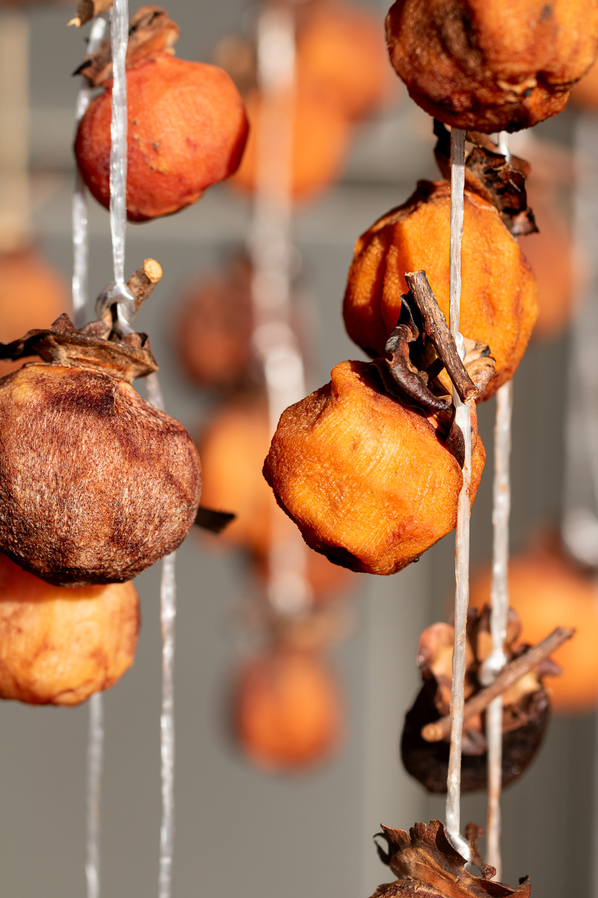 軒下に吊るした干し柿 風通しの良い場所で乾燥中