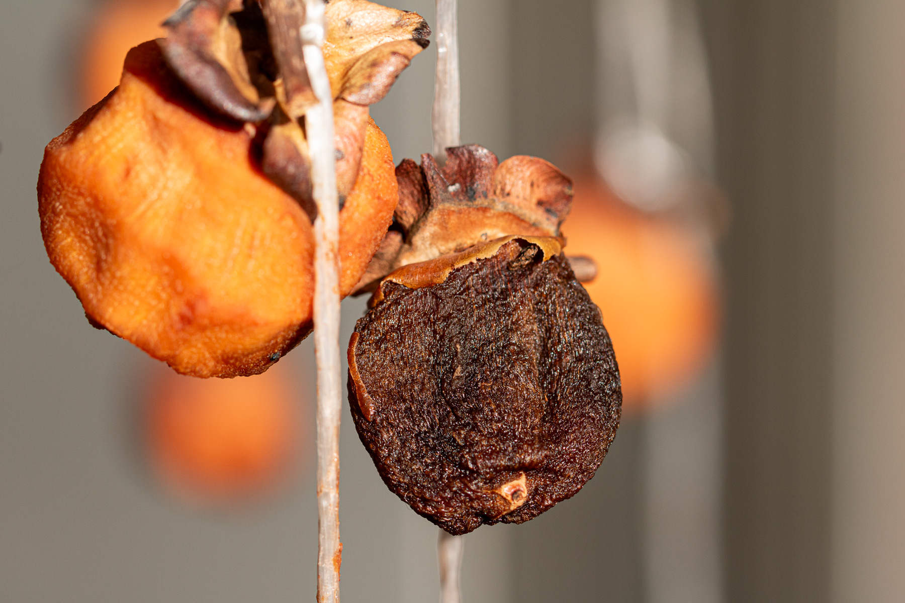 しっかり乾燥した干し柿 噛みごたえのある硬めの食感