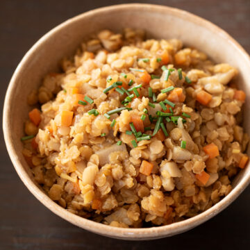 レンズ豆で作る和風そぼろ、甘辛く煮含めたヴィーガン常備菜