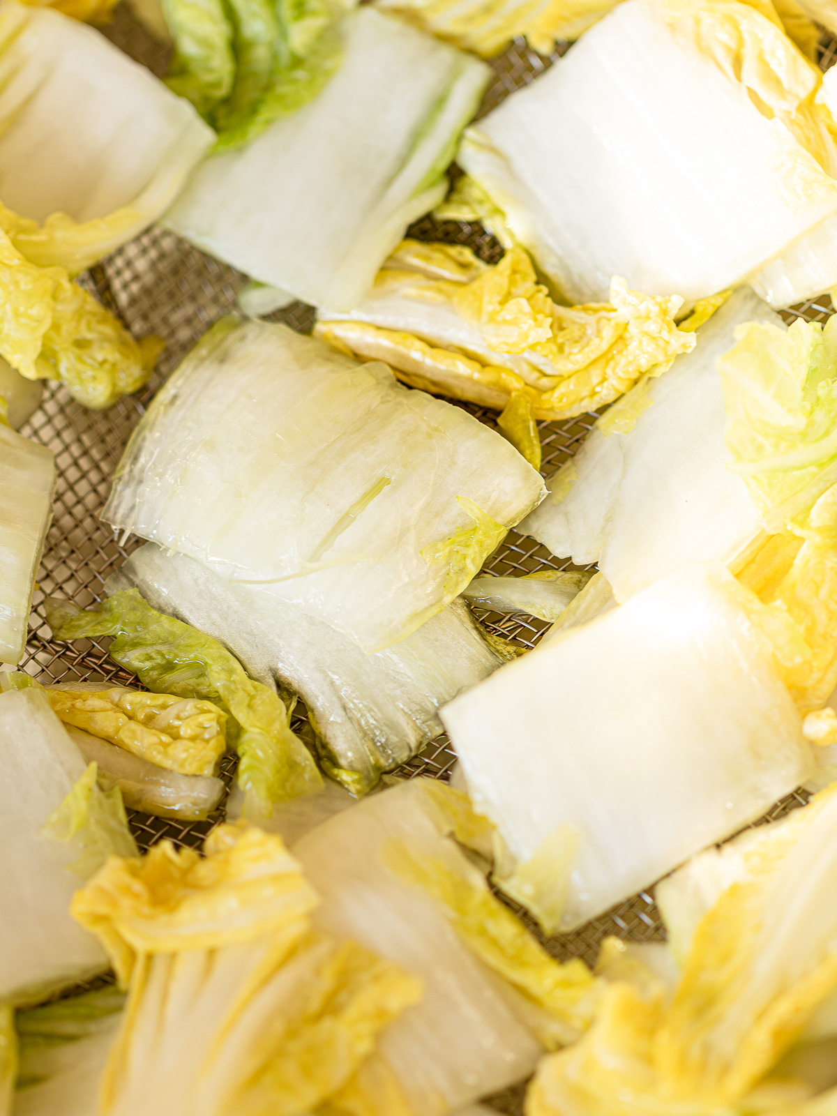 ザルにあけて水切りをしている白菜キムチの塩漬けの様子