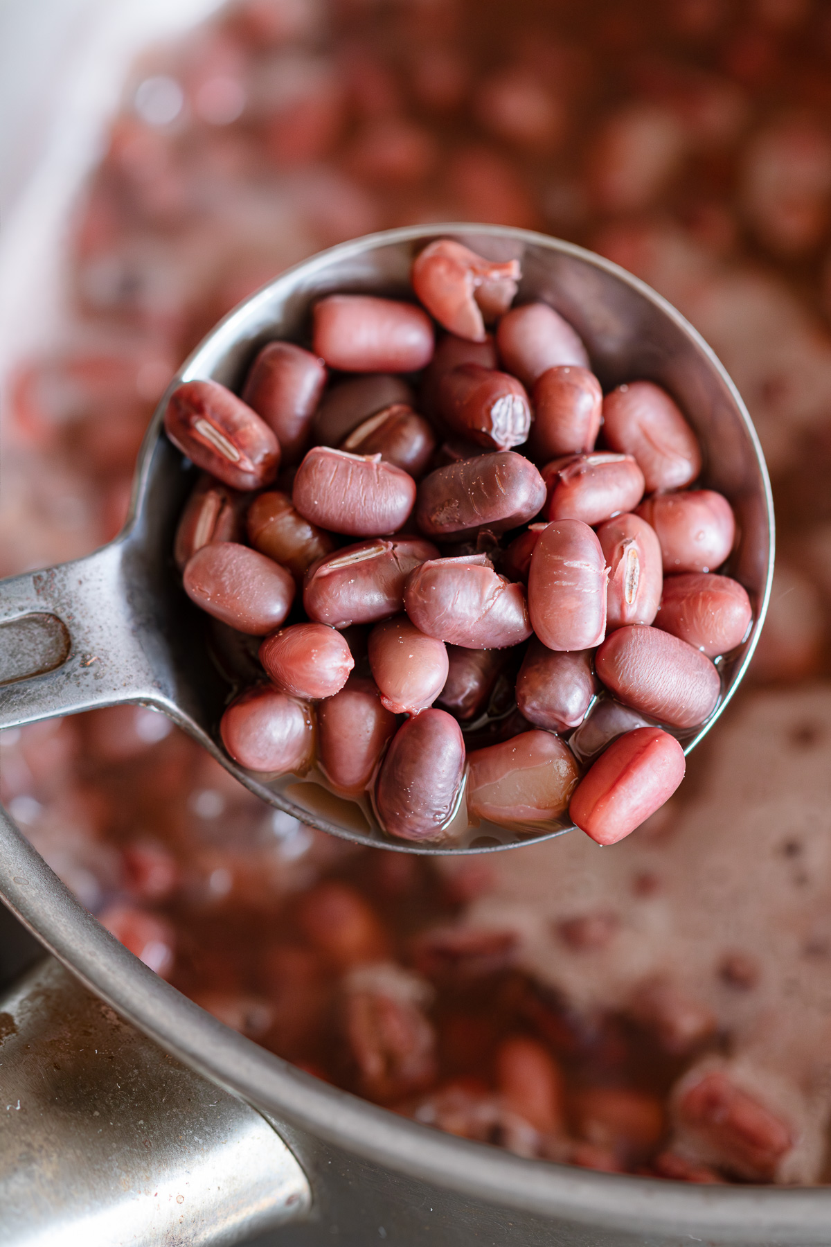 Close-up of adzuki beans at the correct plumping stage