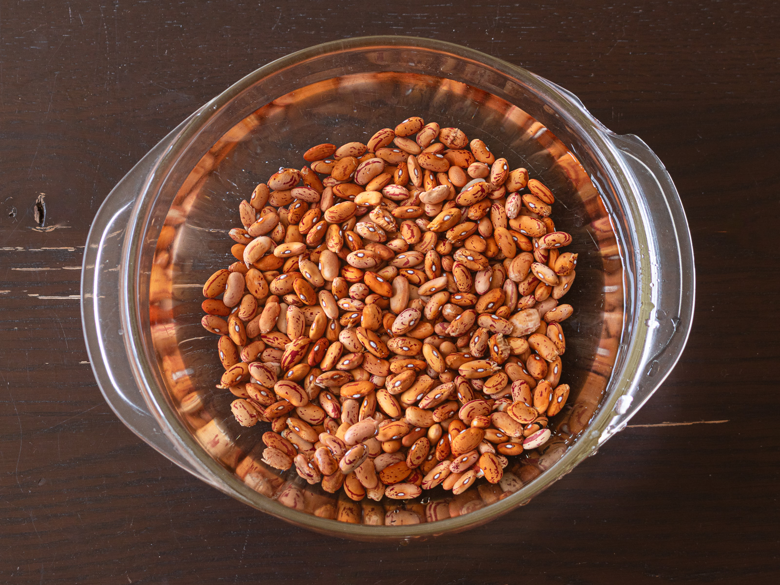 容器に水を張りうずら豆を浸水させている様子