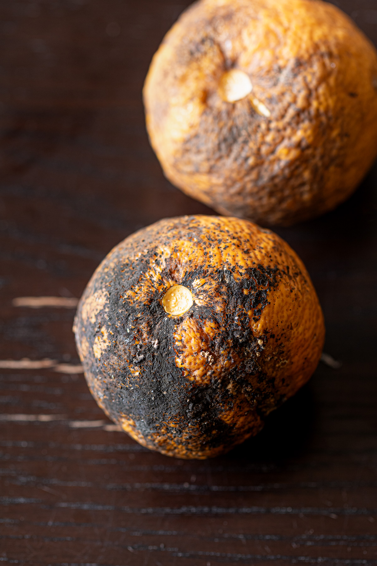 洗う前の黒点病のあるゆず