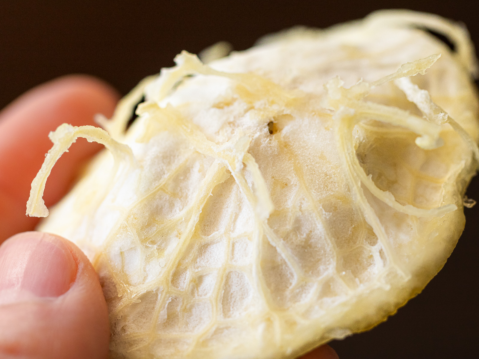 取り出したゆずの果肉の房