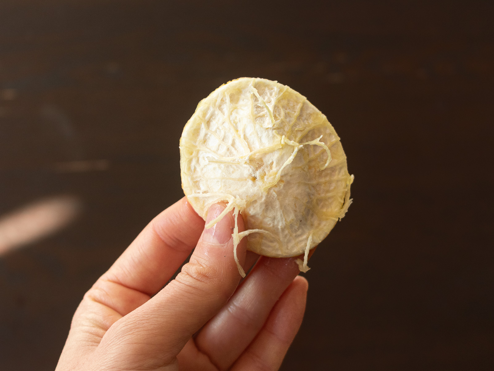 果肉を取ったあと、繊維質が残ったゆずのワタ