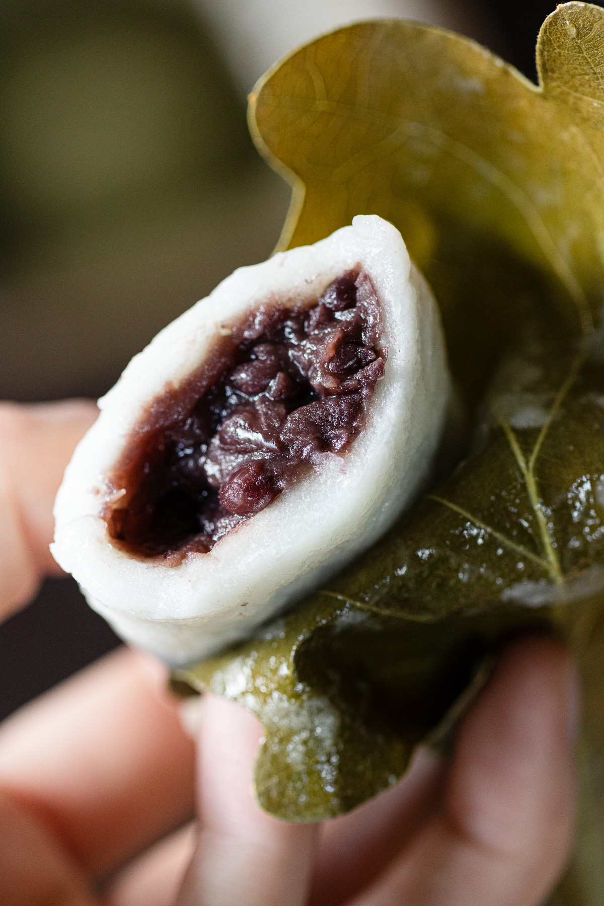 蒸し上がったばかりの柏餅。餅に透明感が出て、柏の葉の緑色が落ち着いた仕上がり。